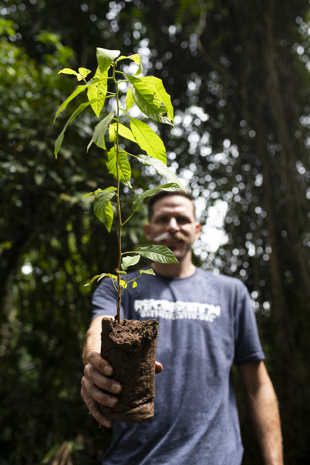 Home 1 BOOK A TRIP – PLANT A TREE